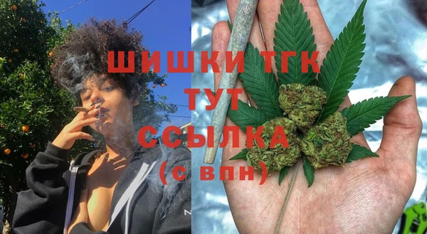 дживик Абинск