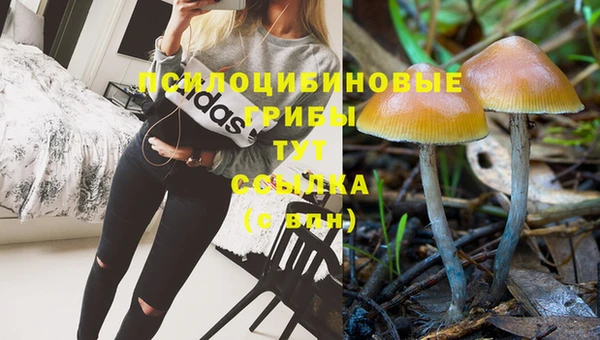 дурь Абдулино