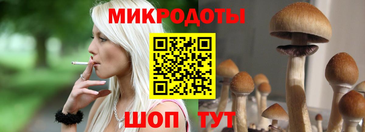 где найти наркотики  Галлюциногенные грибы мухоморы  Вход с VPN  Зеленодольск 